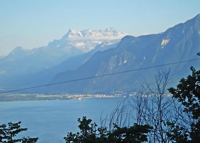 Holiday Noisette Шардон